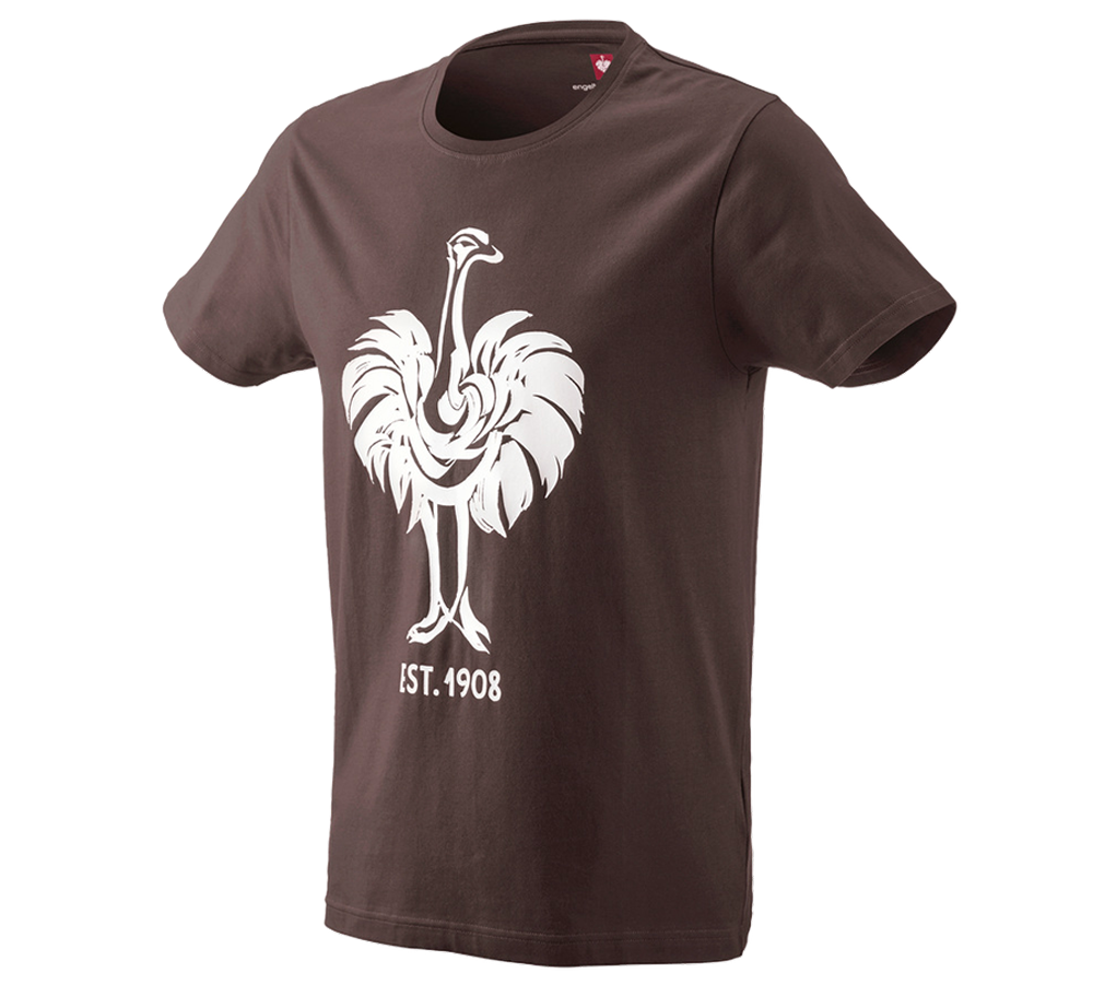 Hauts: e.s. T-Shirt 1908 + marron/blanc