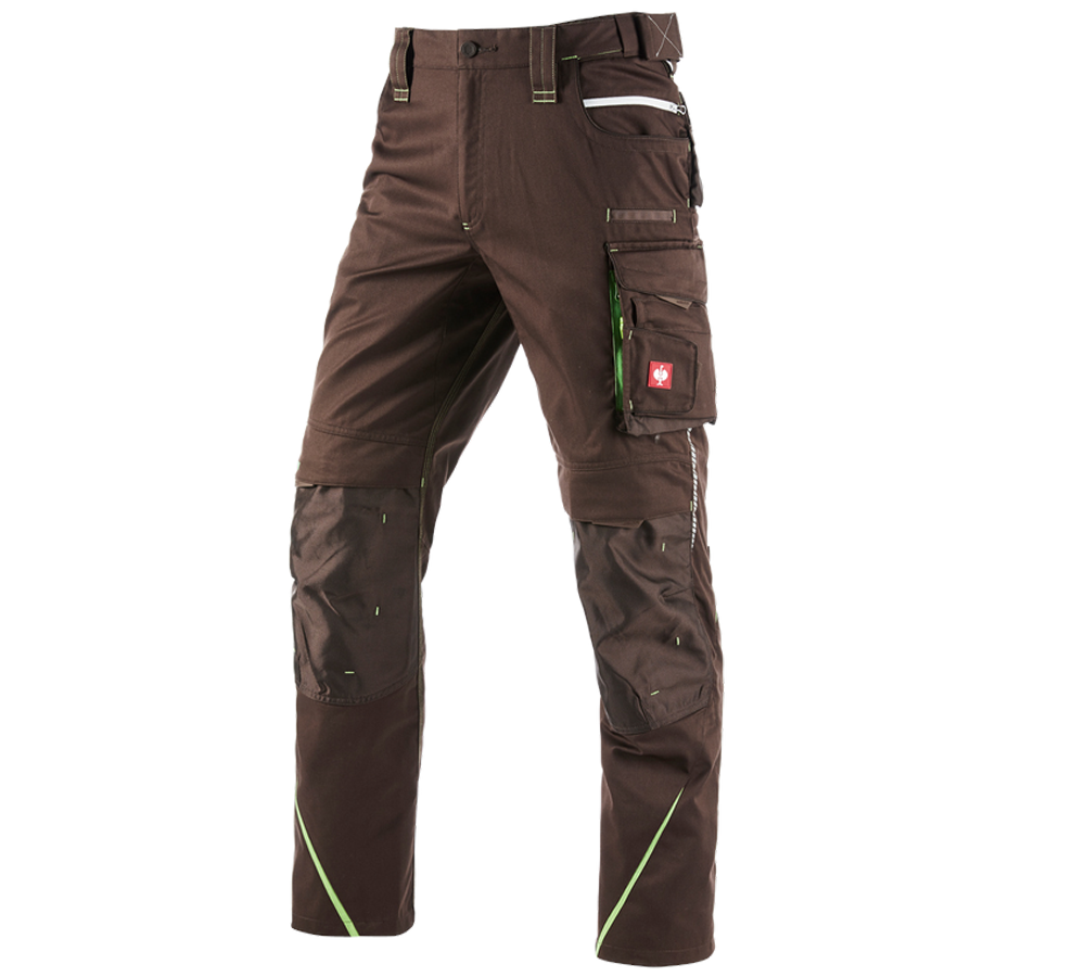 Gardening / Forestry / Farming: Trousers e.s.motion 2020 + chestnut/seagreen