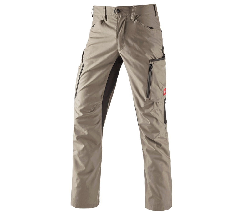 Gardening / Forestry / Farming: Trousers e.s.vision, men's + clay/black
