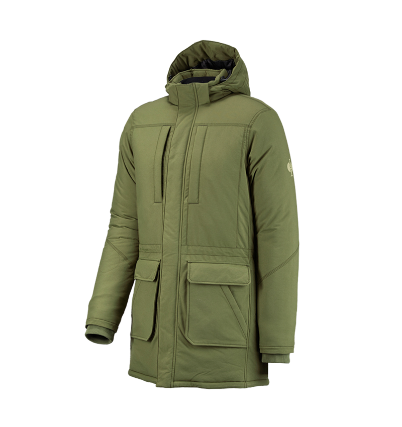 Thèmes: Parka e.s.iconic + vert montagne 5