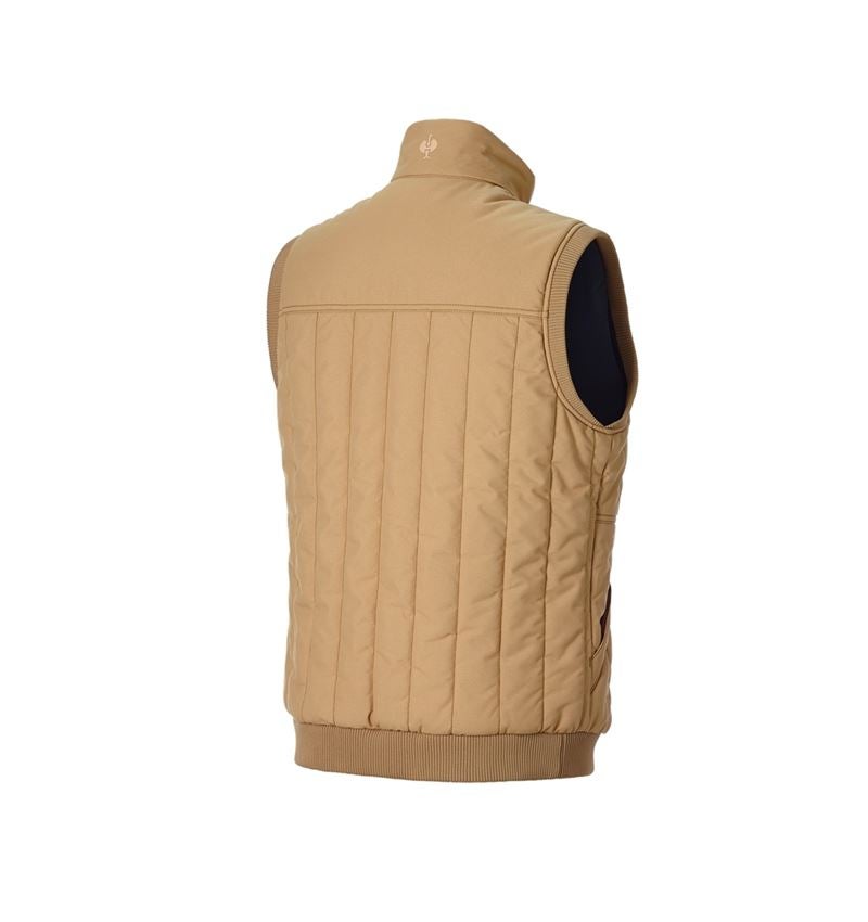 Thèmes: Gilet e.s.iconic + brun amande 6