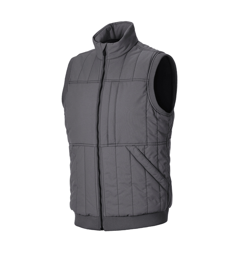 Gilets de travail: Gilet e.s.iconic + gris carbone 5