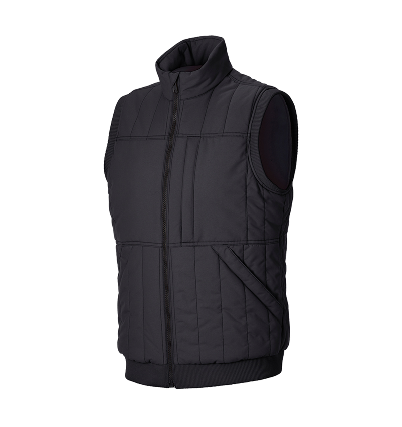 Gilets de travail: Gilet e.s.iconic + noir 4