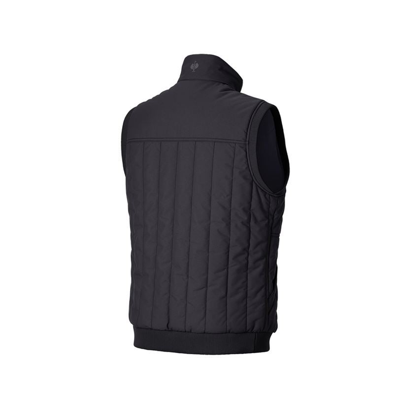 Work Body Warmer: Bodywarmer e.s.iconic + black 5