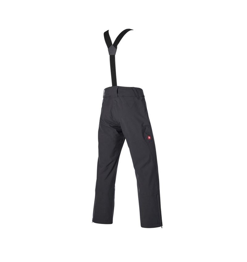 Work Trousers: Functional trousers e.s.trail snow + black 6