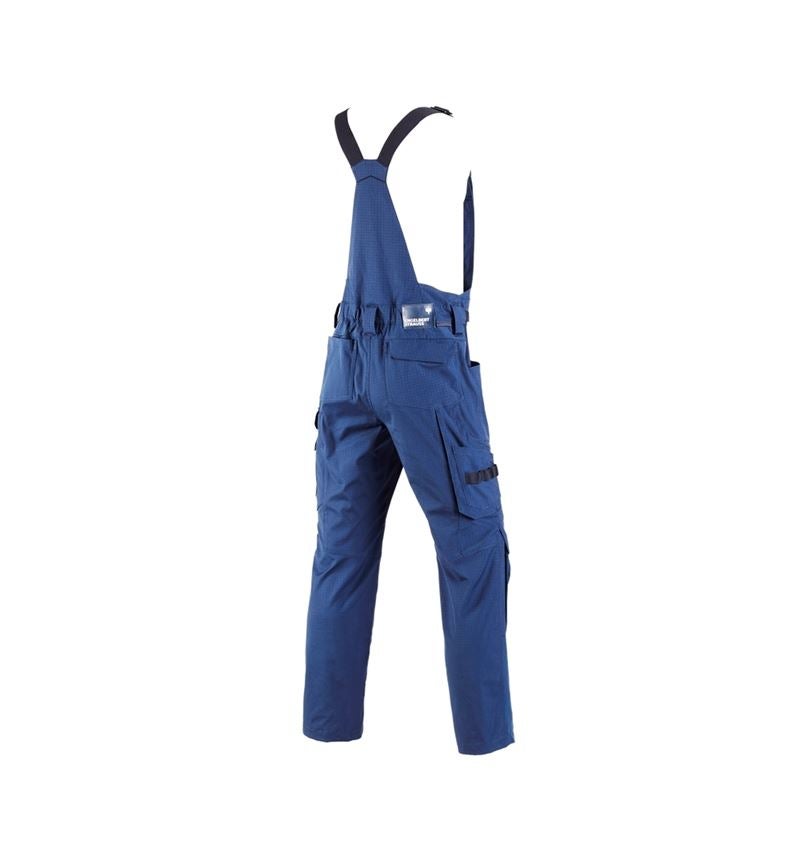 Pantalons de travail: Salopette e.s.concrete solid + bleu alcalin 3