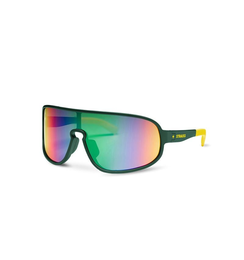 Lunettes de Protection: Lunettes de soleil Race e.s.ambition + vert