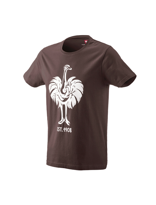 Hauts: e.s. T-Shirt 1908 + marron/blanc 2